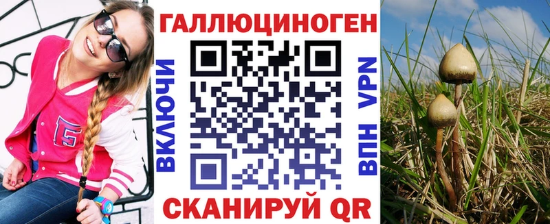 KRAKEN как зайти  Звенигово  Псилоцибиновые грибы Psilocybe 